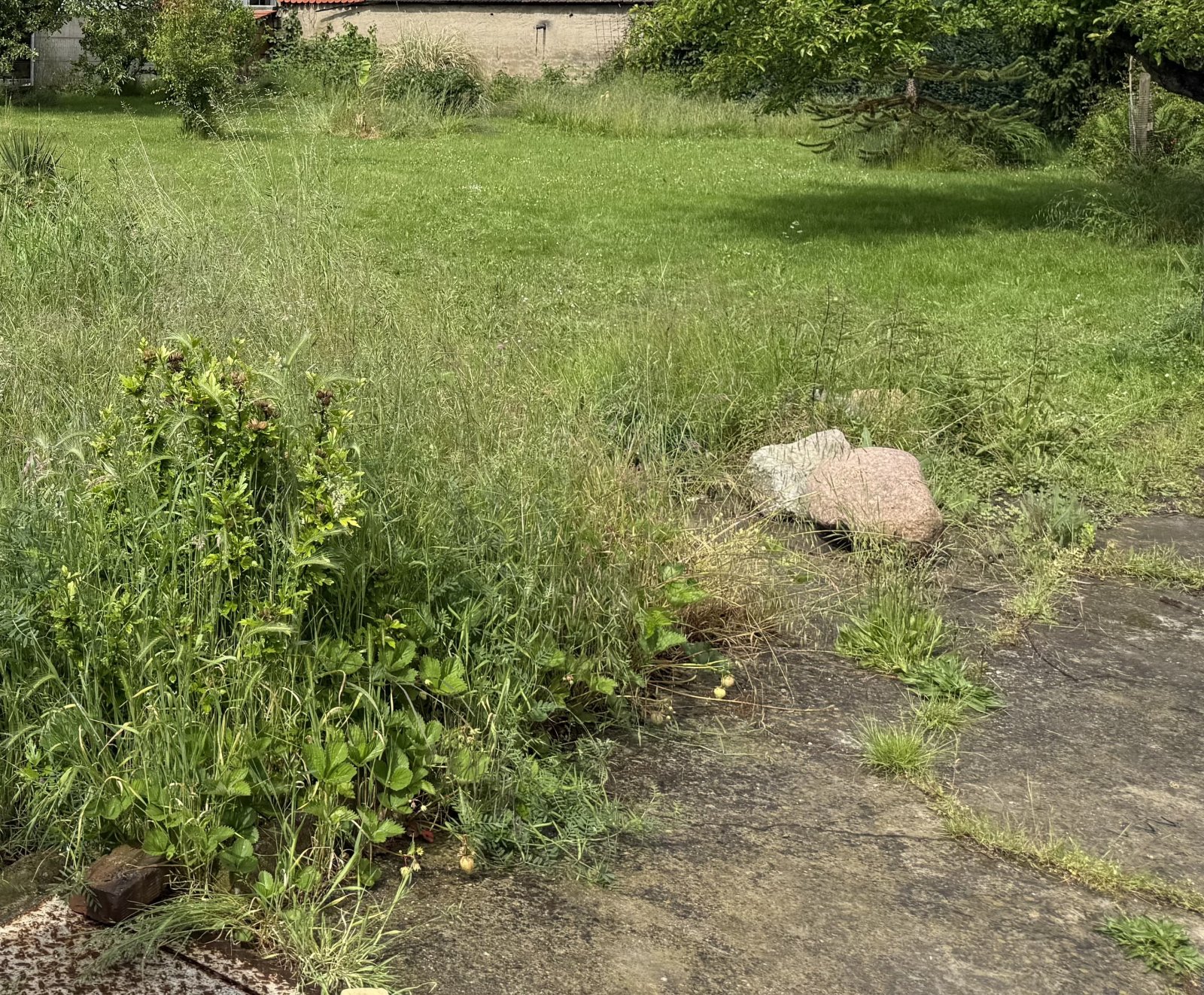 BEZAHLBARES GROSSES GRUNSTÜCK UNWEIT VON LEIPZIG
