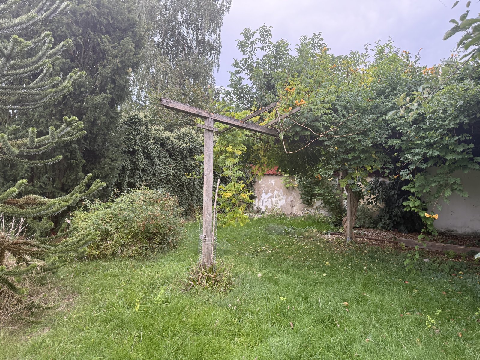 WOHNEN WO DIE NATUR ZU HAUSE IST!!!