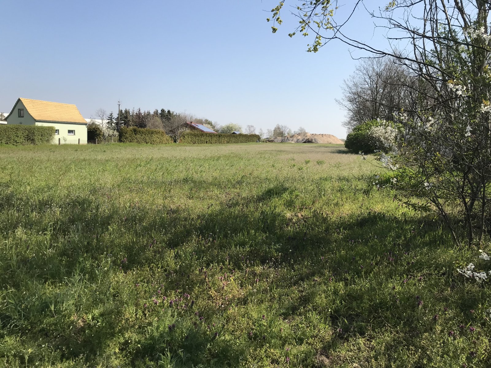 NATUR PUR & FAMILIEN- GLÜCK: IDYLLISCH WOHNEN NAHE DER GROßSTADT