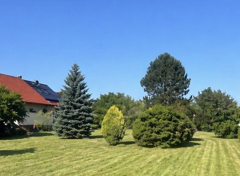 RUHIG & EXKLUSIV: WOHNEN IM GRÜNEN MIT ALTEM BAUMBESTAND UND SCHNELLER BAHNANBINDUNG