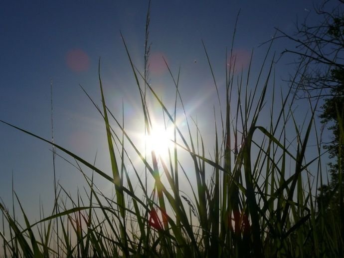 WOHNEN AM KLEINGARTEN MIT RUHE PUR!