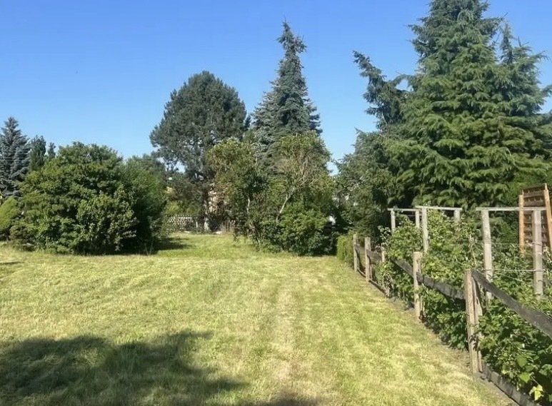 URBANES GRÜN: LEBENSQUALITÄT IN DER STADT