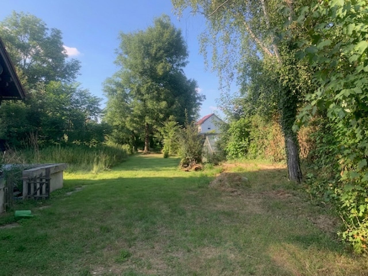 Blick ins Grundstück Blick ins Grundstück